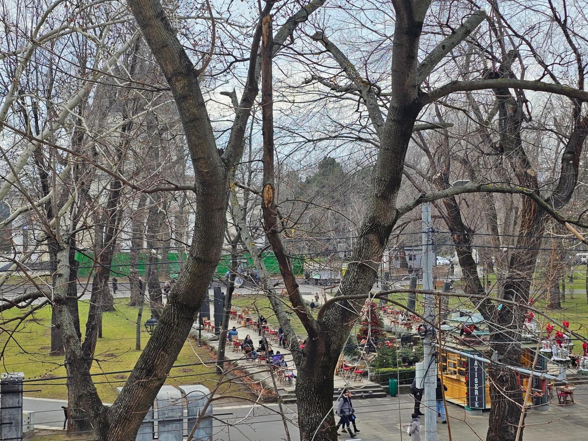 Cathedral Park&Pedestrian Zone Apartment! Kişinev Dış mekan fotoğraf